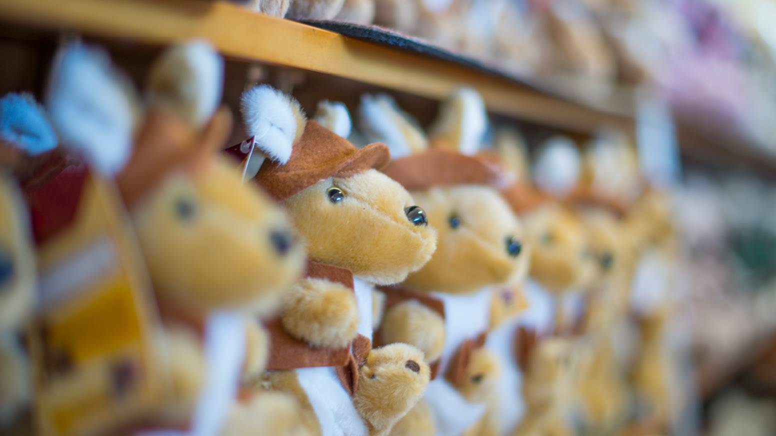 Rows of plush teddy bears wearing cowboy hats on a store shelf